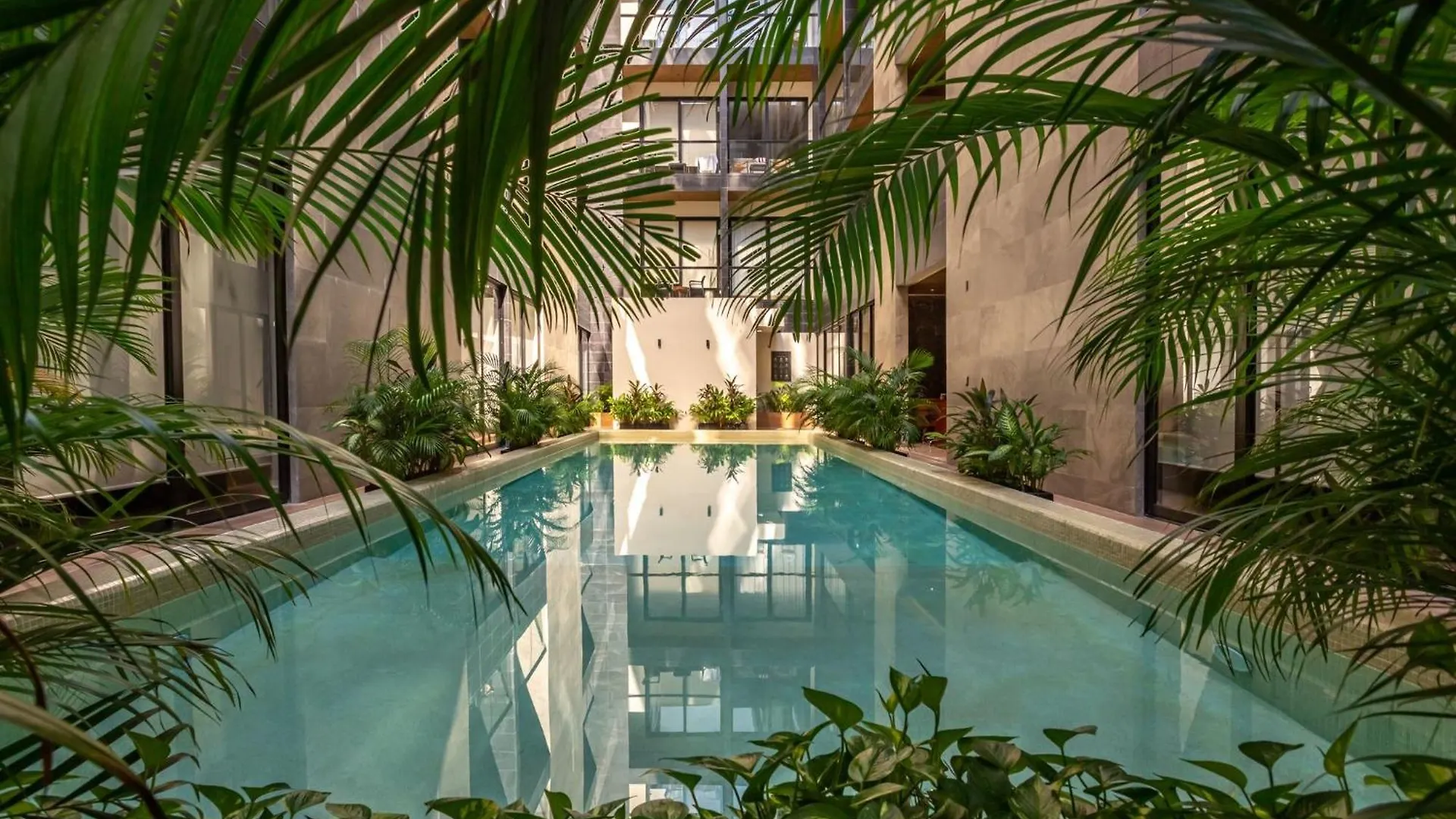 Hermoso Departamento Paraso Tropical En El Corazn De Pdc Playa del Carmen